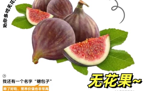 安宁片说明书网 - 网站提供安宁片多少钱一盒小常识、安宁片的功效与作用